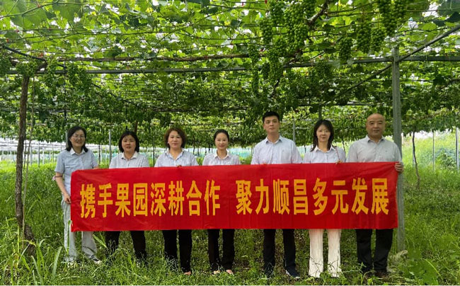 尊时凯龙·(中国区)人生就是搏