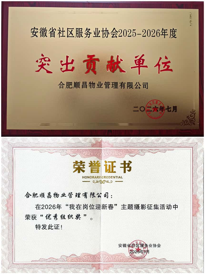 1784097178627 图片12