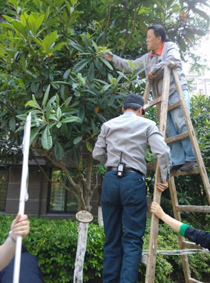 尊时凯龙·(中国区)人生就是搏