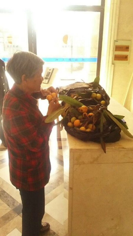 尊时凯龙·(中国区)人生就是搏