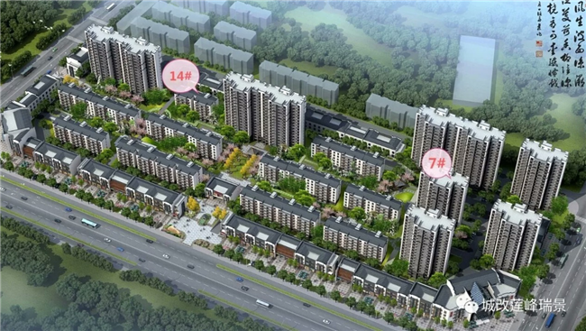 尊时凯龙·(中国区)人生就是搏