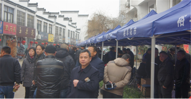 尊时凯龙·(中国区)人生就是搏