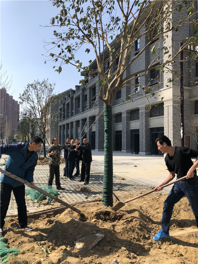 尊时凯龙·(中国区)人生就是搏