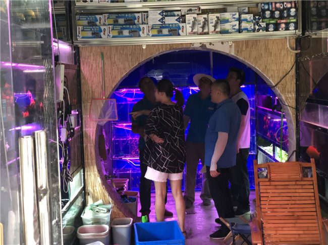 尊时凯龙·(中国区)人生就是搏