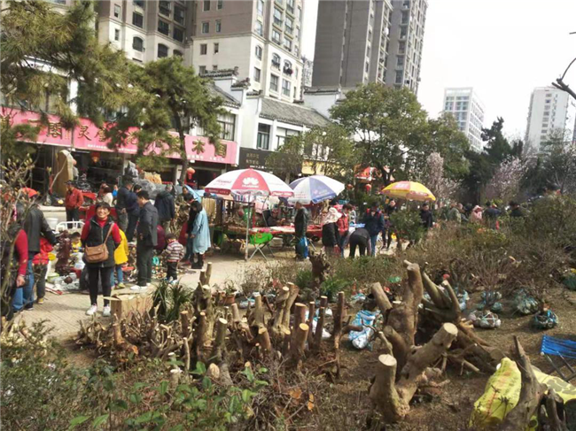 尊时凯龙·(中国区)人生就是搏