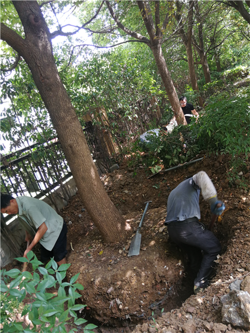 尊时凯龙·(中国区)人生就是搏