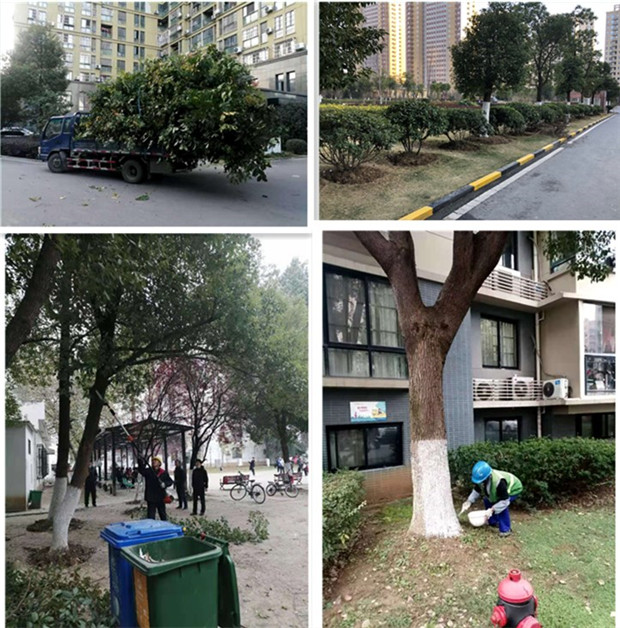 尊时凯龙·(中国区)人生就是搏