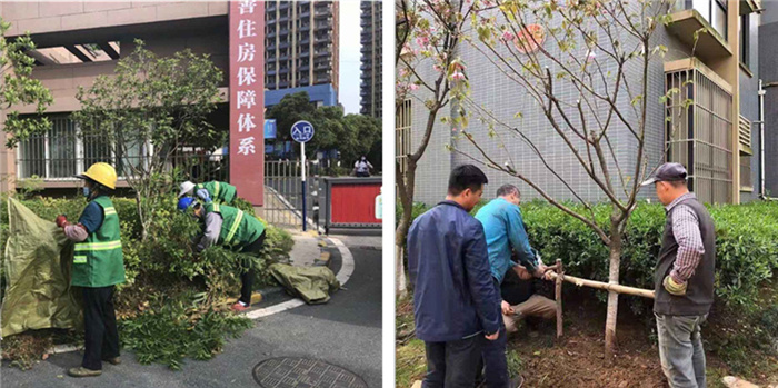 尊时凯龙·(中国区)人生就是搏