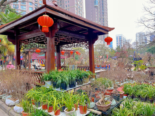 尊时凯龙·(中国区)人生就是搏