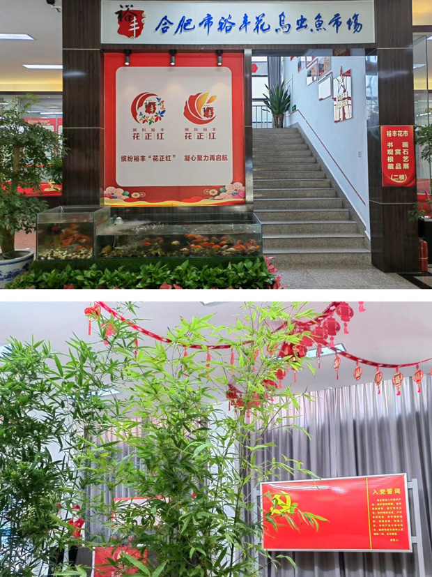 尊时凯龙·(中国区)人生就是搏