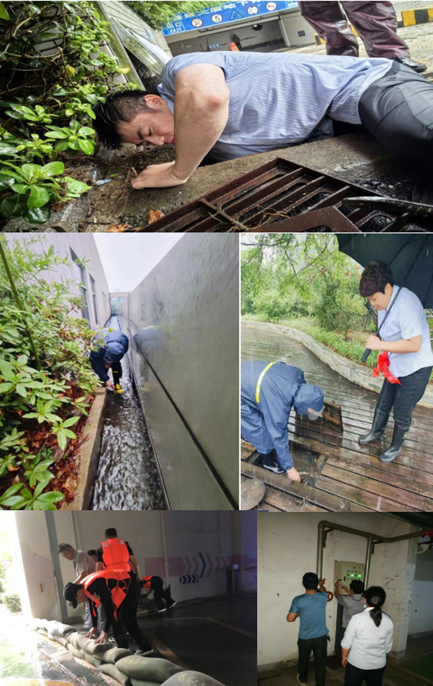 尊时凯龙·(中国区)人生就是搏